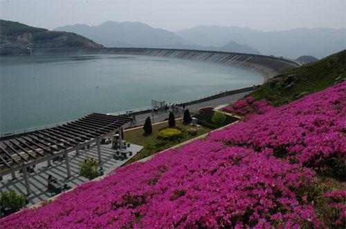 安吉中南百草原基地